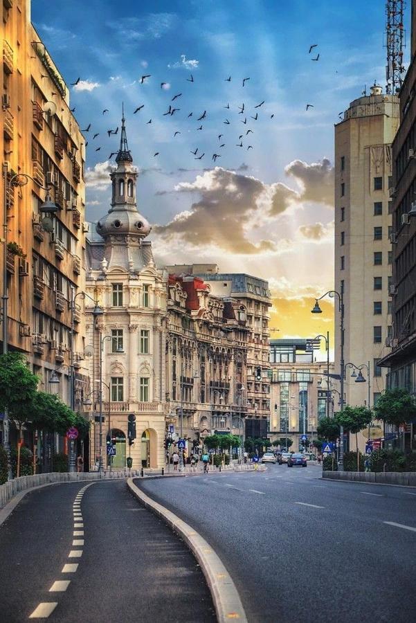 Imob Bibi House Universitate Bukarest Kültér fotó